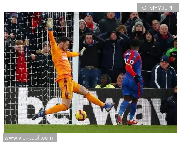 加的夫城对热刺精彩直播全程回顾与赛后分析