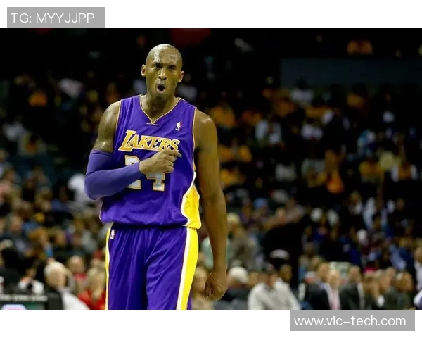 湖人对阵山猫精彩全场录像回放及赛后分析分享