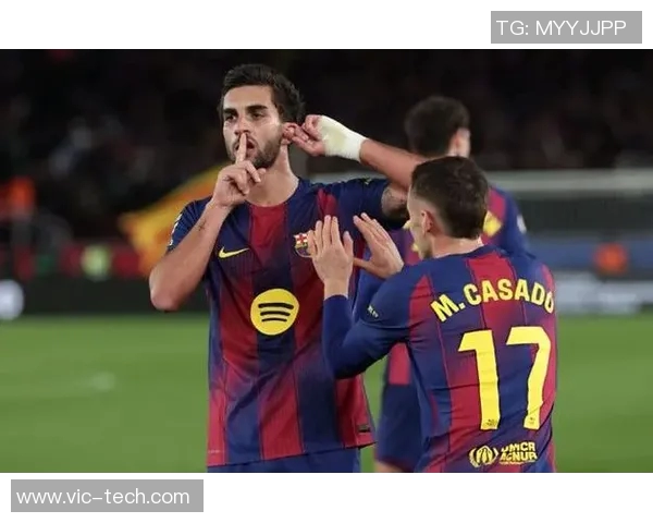 费兰托雷斯的成长之路与未来展望：从新星到足球巨星的蜕变之旅